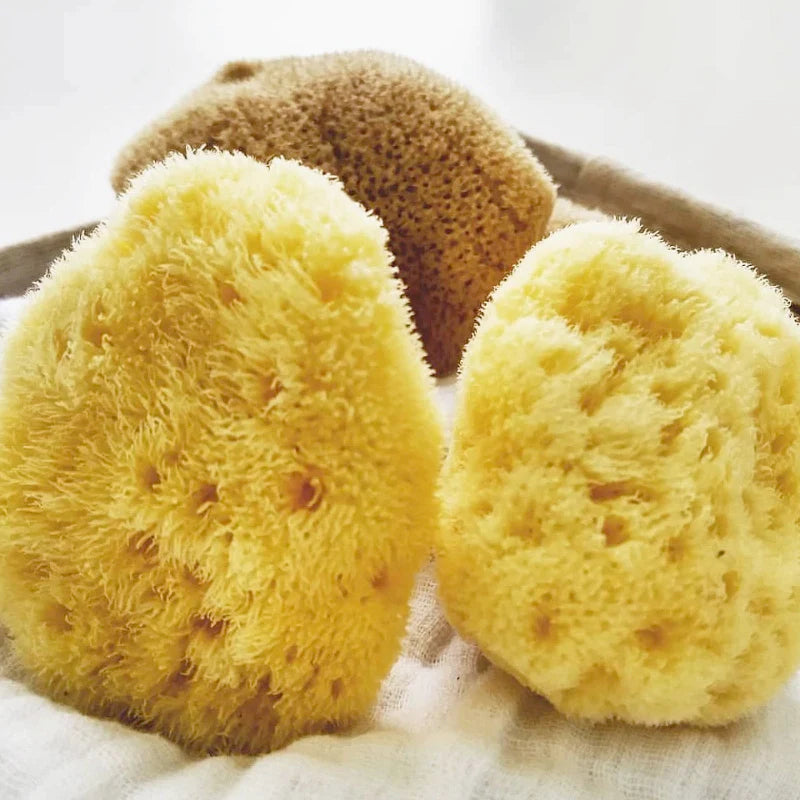 Silk Sponge Single Mediterranean Silk Sea Sponge Tampon