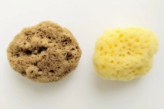 Silk Sponge Single Mediterranean Silk Sea Sponge Tampon